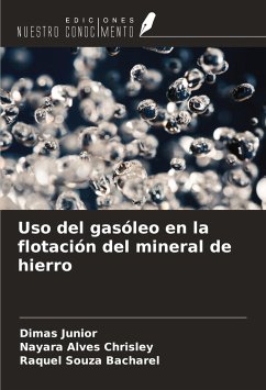 Uso del gasóleo en la flotación del mineral de hierro - Junior, Dimas; Chrisley, Nayara Alves; Bacharel, Raquel Souza