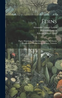 Ferns: Pteris, Hypolepis, Cheilanthes, Doodia, Blechnum, Woodwardia, Stenochlaena, Brainea, Lomaria - Lowe, Edward Joseph; Fawcett, Benjamin; Lydon, Alexander Francis