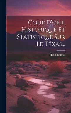 Coup D'oeil Historique Et Statistique Sur Le Téxas... - Fournel, Henri