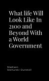 What life Will Look Like In 2100 and Beyond With a World Government What life Will Look Like In 2100 and Beyond With a World Government