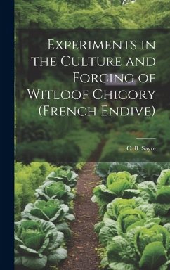 Experiments in the Culture and Forcing of Witloof Chicory (French Endive) - Sayre, C B