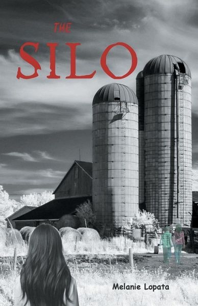 The Silo The Silo