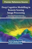 Deep Cognitive Modelling in Remote Sensing Image Processing