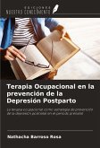 Terapia Ocupacional en la prevención de la Depresión Postparto