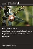 Evaluación de la recolección/comercialización de bígaros en el bienestar de las mujeres