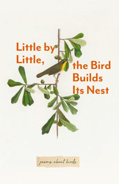 Little By Little, The Bird Builds Its Nest Little By Little, The Bird Builds Its Nest