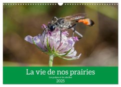 La vie de nos prairies - Les guêpes et les abeilles (Calendrier mural 2025 DIN A3 vertical), CALVENDO calendrier mensuel