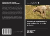 Suplementación de butafosfán y cianocobalamina en ovejas gestantes