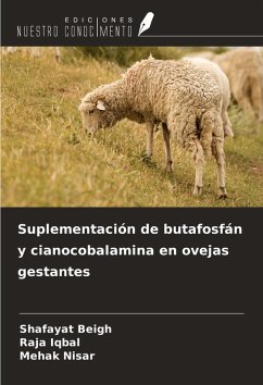 Cover Suplementación de butafosfán y cianocobalamina en ovejas gestantes