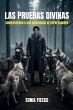 Las Pruebas Divinas - Bild 1