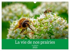 La vie de nos prairies - Les diptères (Calendrier mural 2025 DIN A3 vertical), CALVENDO calendrier mensuel