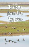 Lessons from the Lagoon