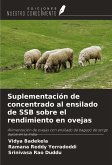 Suplementación de concentrado al ensilado de SSB sobre el rendimiento en ovejas