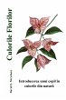 Culorile Florilor - Bild 1