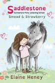Saddlestone Connemara Pony Listening School Sinead and Strawberry - Dyslexia Friendly Saddlestone Connemara Pony Listening School Sinead and Strawberry - Dyslexia Friendly