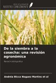 De la siembra a la cosecha: una revisión agronómica