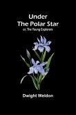 Under the Polar Star; or, The Young Explorers