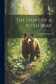 The Story of a Plush Bear