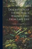 Description of the Big Black Walnut Tree, From Lake Erie: Exhibiting at the Masonic Hall, Chestnut St Description of the Big Black Walnut Tree, From Lake Erie: Exhibiting at the Masonic Hall, Chestnut St