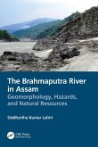 The Brahmaputra River in Assam