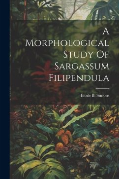 A Morphological Study Of Sargassum Filipendula - Simons, Etoile B.