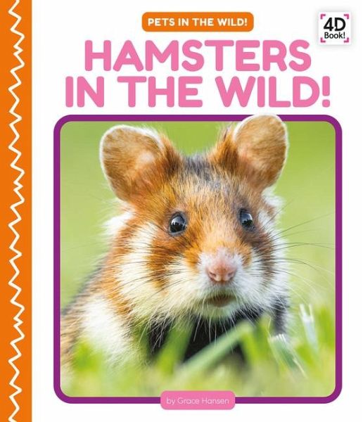 Hamsters in the Wild! Hamsters in the Wild!