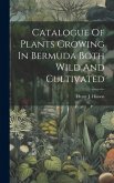 Catalogue Of Plants Growing In Bermuda Both Wild And Cultivated