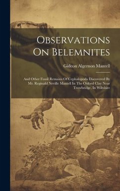 Observations On Belemnites: And Other Fossil Remains Of Cephalopoda Discovered By Mr. Reginald Neville Mantell In The Oxford Clay Near Trowbridge, - Mantell, Gideon Algernon