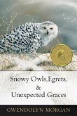 Snowy Owls, Egrets & Unexpected Graces