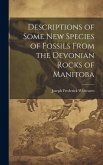 Descriptions of Some New Species of Fossils From the Devonian Rocks of Manitoba