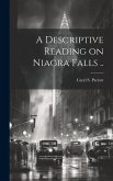 A Descriptive Reading on Niagra Falls ..