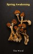 Spring Awakening - Bild 1