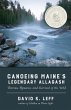 Canoeing Maine's Legendary Allagash - Bild 1