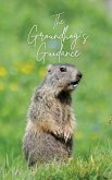 The Groundhog's Guidance