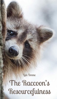 The Raccoon's Resourcefulness - Donne, Lan