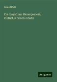 Ein Szegediner Hexenprocess: Culturhistorische Studie