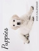 Puppies 2025 Calendar