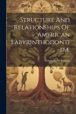 Structure And Relationships Of American Labyrinthodontidæ