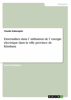 Externalites dans l`utilisation de l`energie electrique dans la ville province de Kinshasa