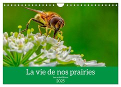 La vie de nos prairie, les ombellifères (Calendrier mural 2025 DIN A4 vertical), CALVENDO calendrier mensuel