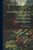 A Morphological Study Of Diospyros Virginiana