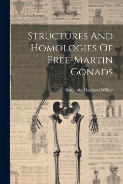 Cover Structures And Homologies Of Free-martin Gonads