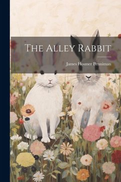 Cover The Alley Rabbit
