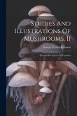 Studies And Illustrations Of Mushrooms, Ii: Three Edible Species Of Coprinus