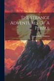 The Strange Adventures Of A Pebble The Strange Adventures Of A Pebble