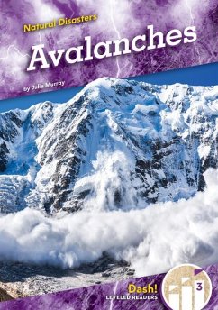 Cover Avalanches
