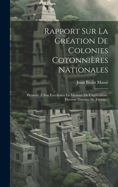 Cover Rapport Sur La Création De Colonies Cotonnières Nationales: Présenté À Son Excellence Le Ministre De L'agriculture, Docteur Damián M. Torino...