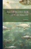 Recherches sur le cachalot