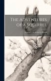 The Adventures of a Squirrel: Supposed to be Related by Himself