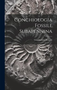 Conchiologia Fossile Subapennina - Brocchi, Giambattista